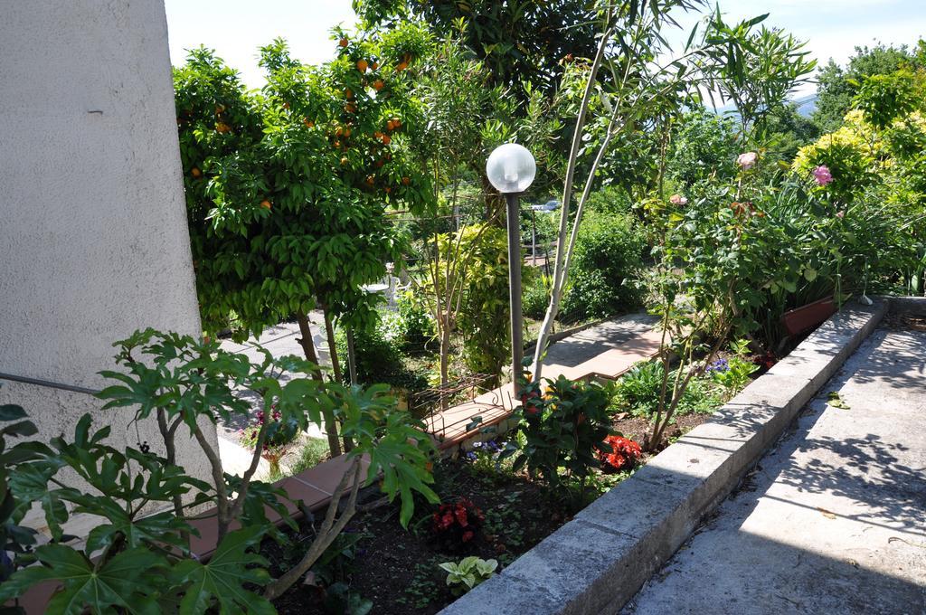 B&B La Palombara Giuliano di Roma Екстериор снимка